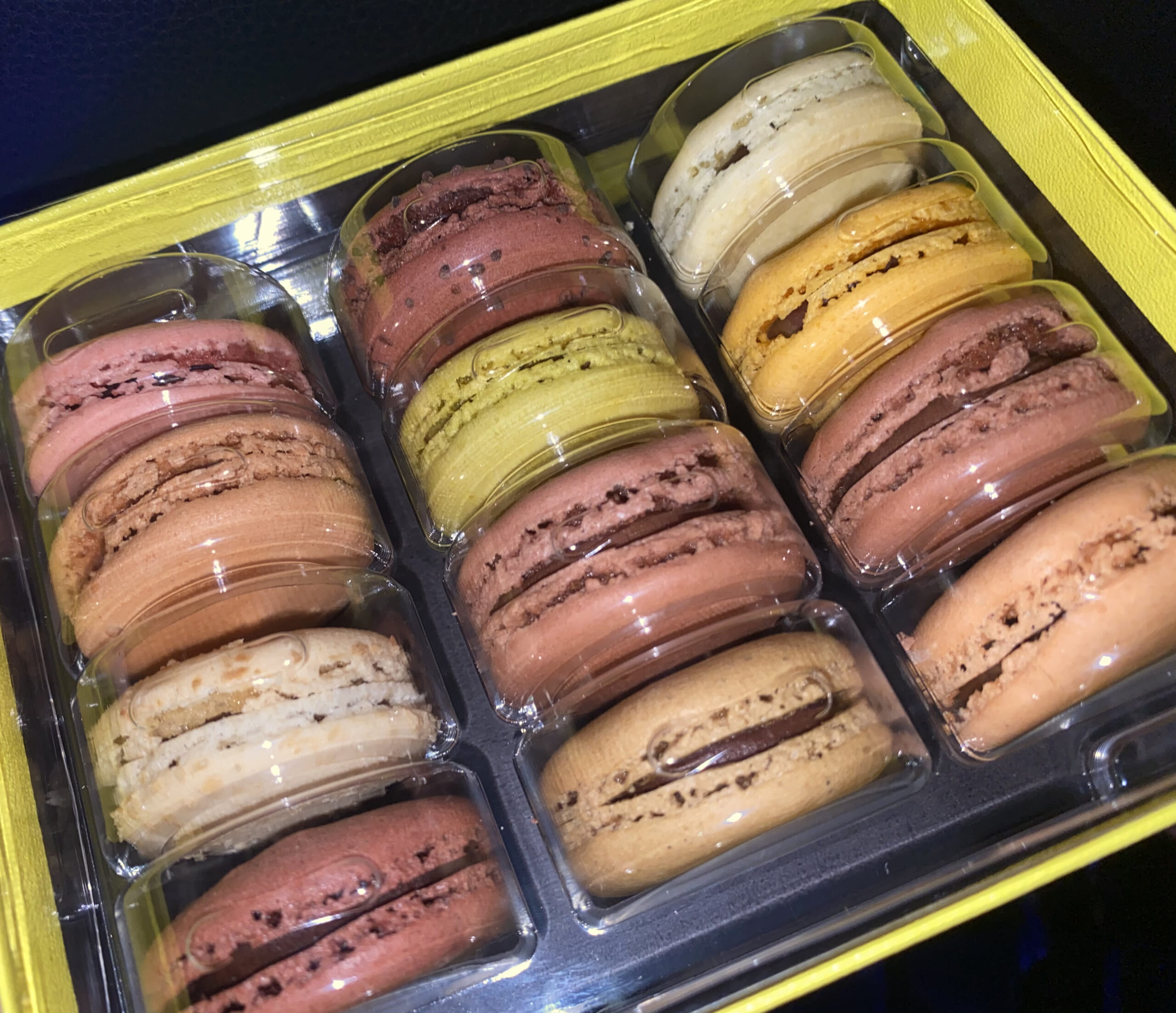 自己紹介part2 私頑張ります宣言！！