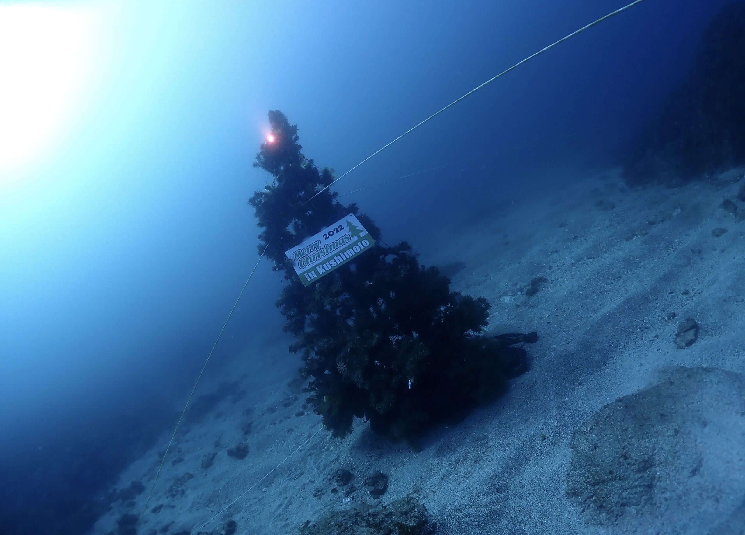 クリスマスFDに行ってきました🤿