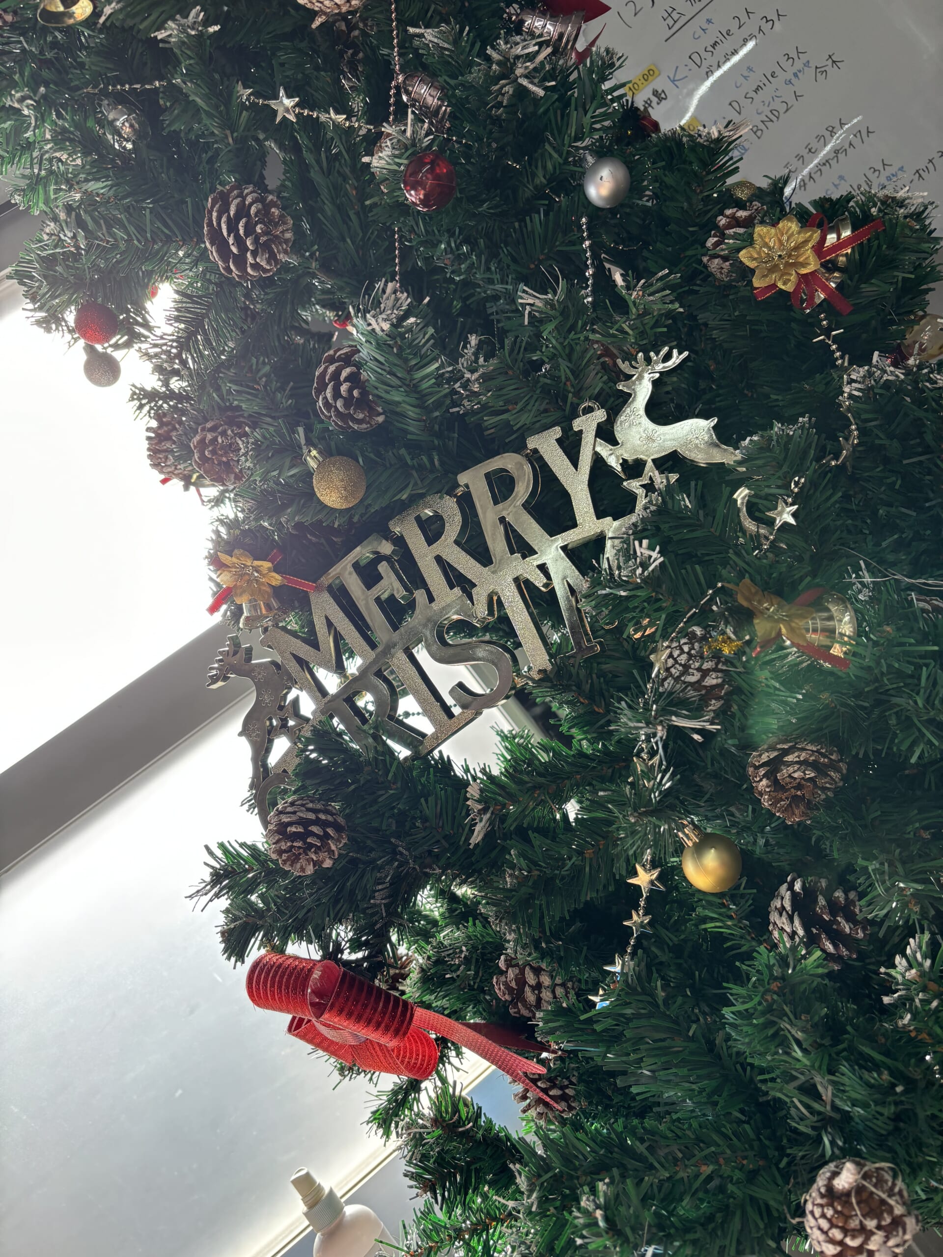 第1弾クリスマス＆潜り納めFD🎄