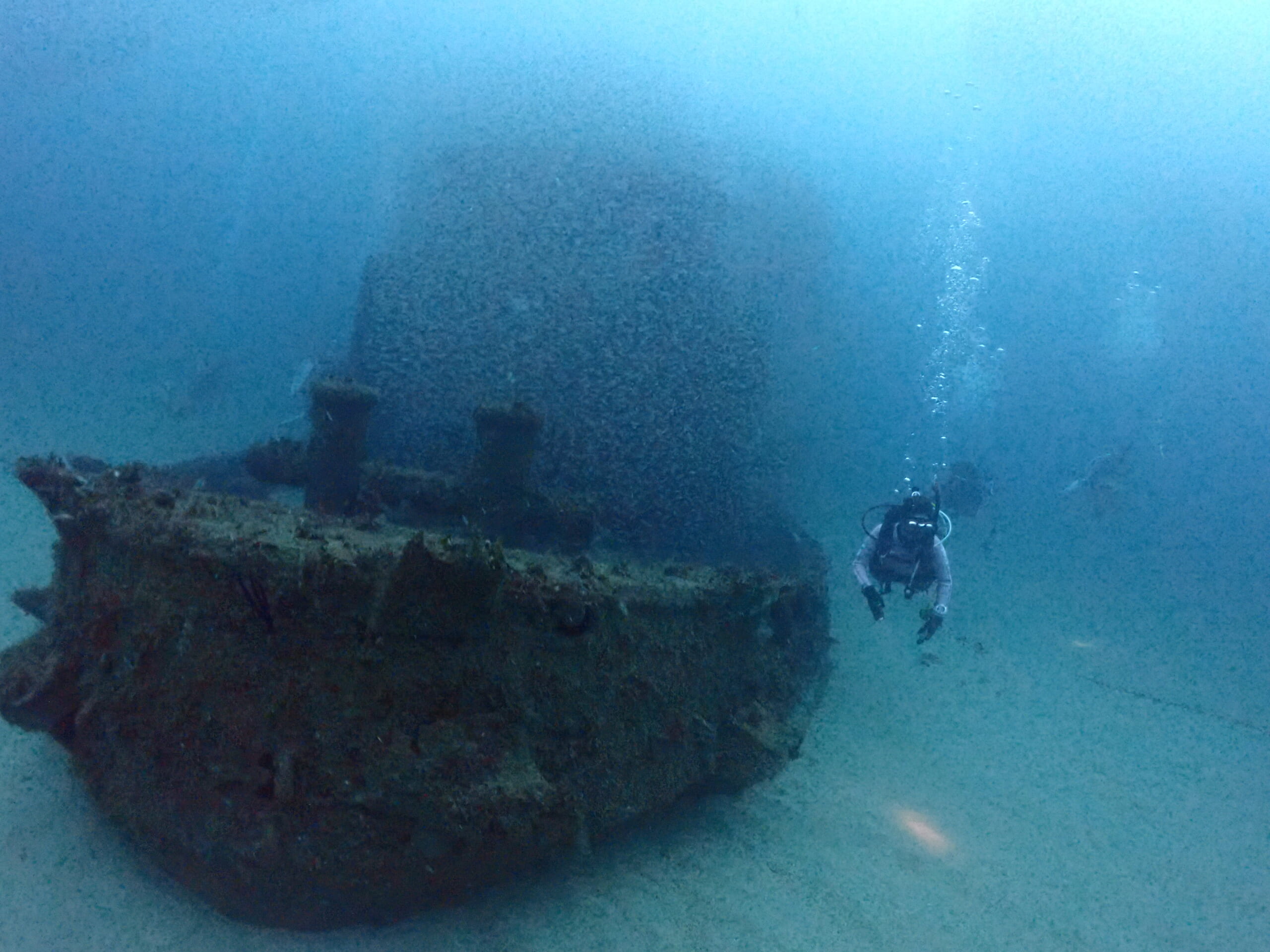 白浜FDに行ってきました🤿