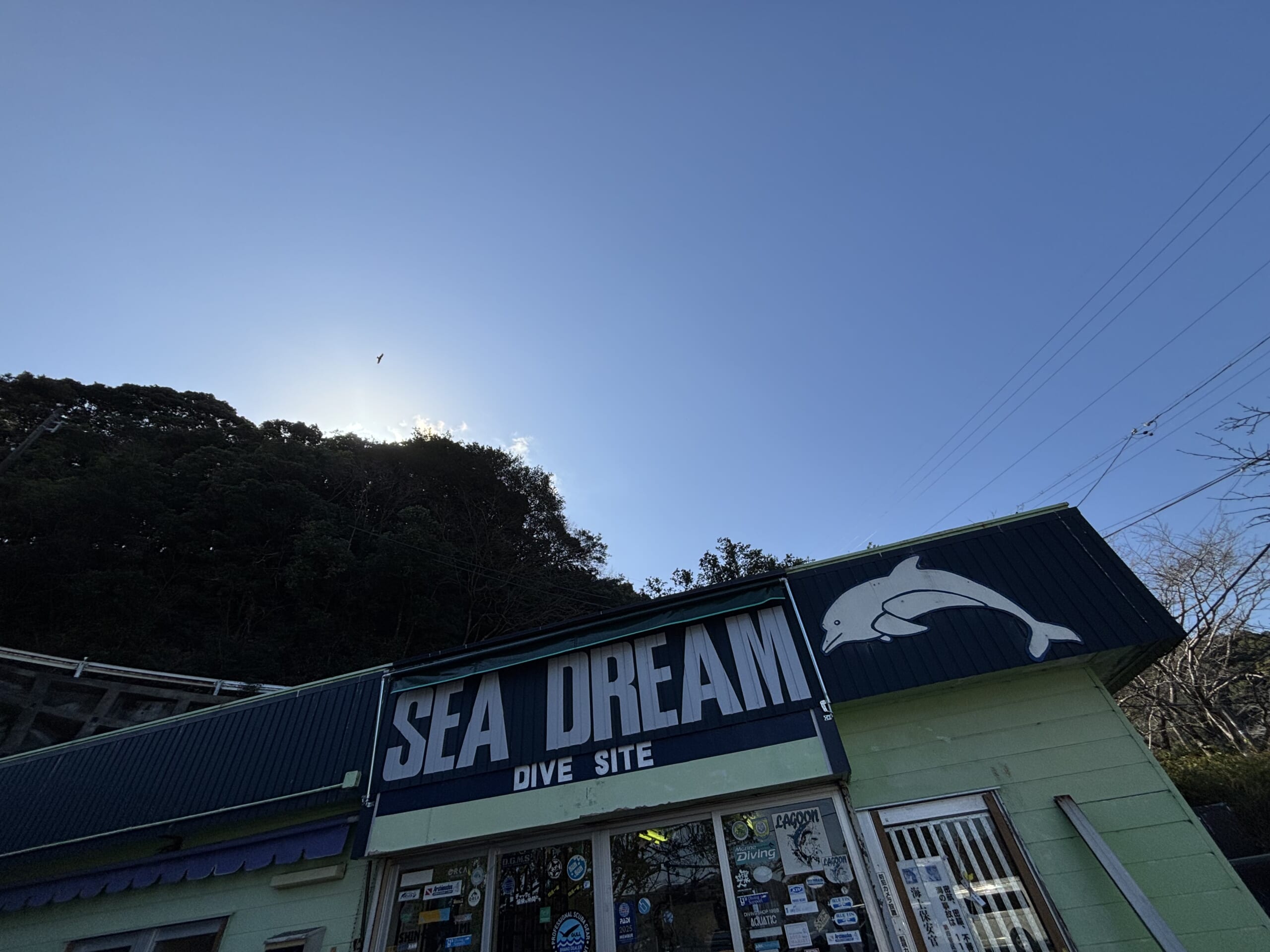 尾鷲FD 〜冬季限定ポイント〜