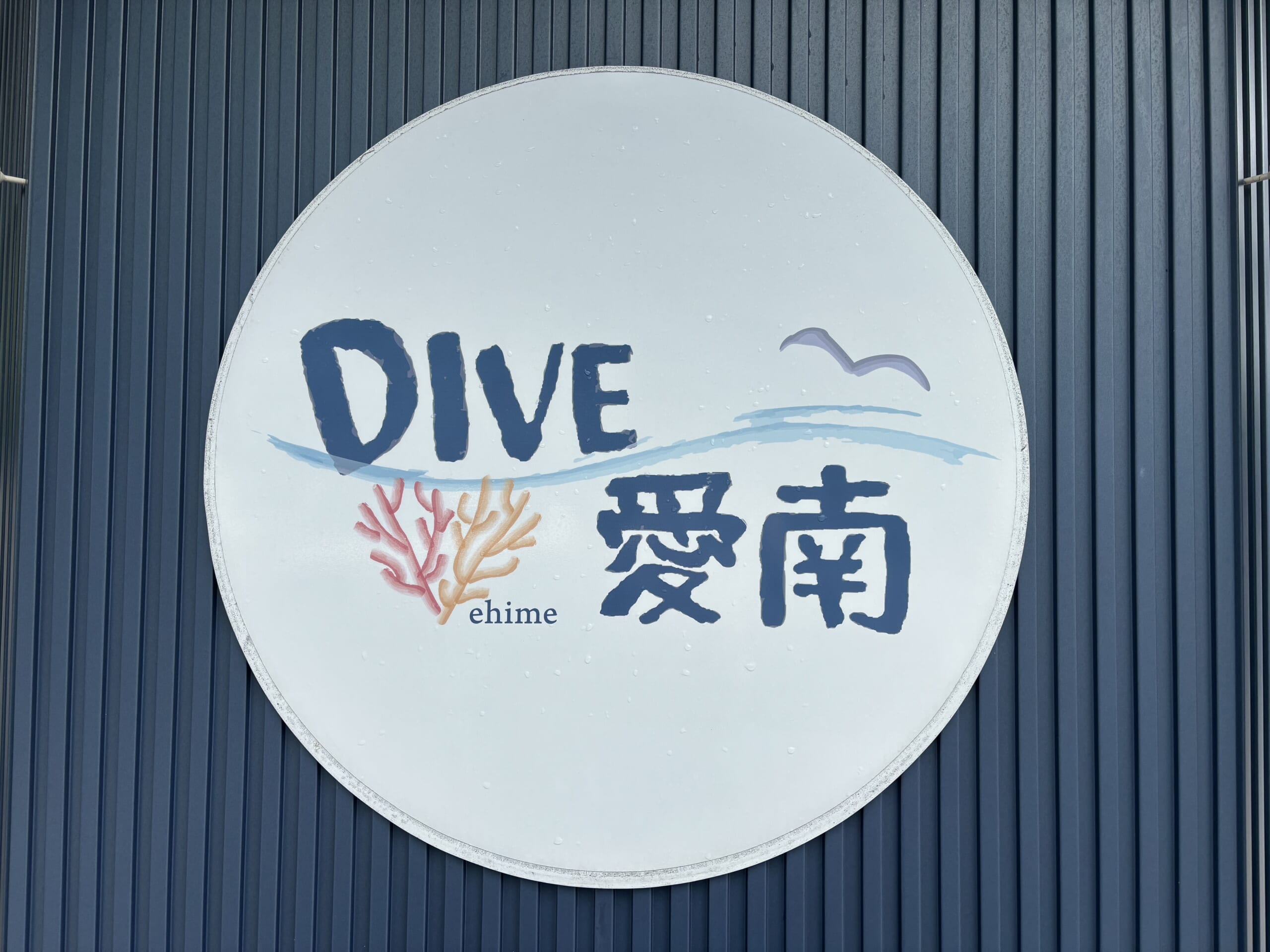 愛南FDに行ってきました🚗