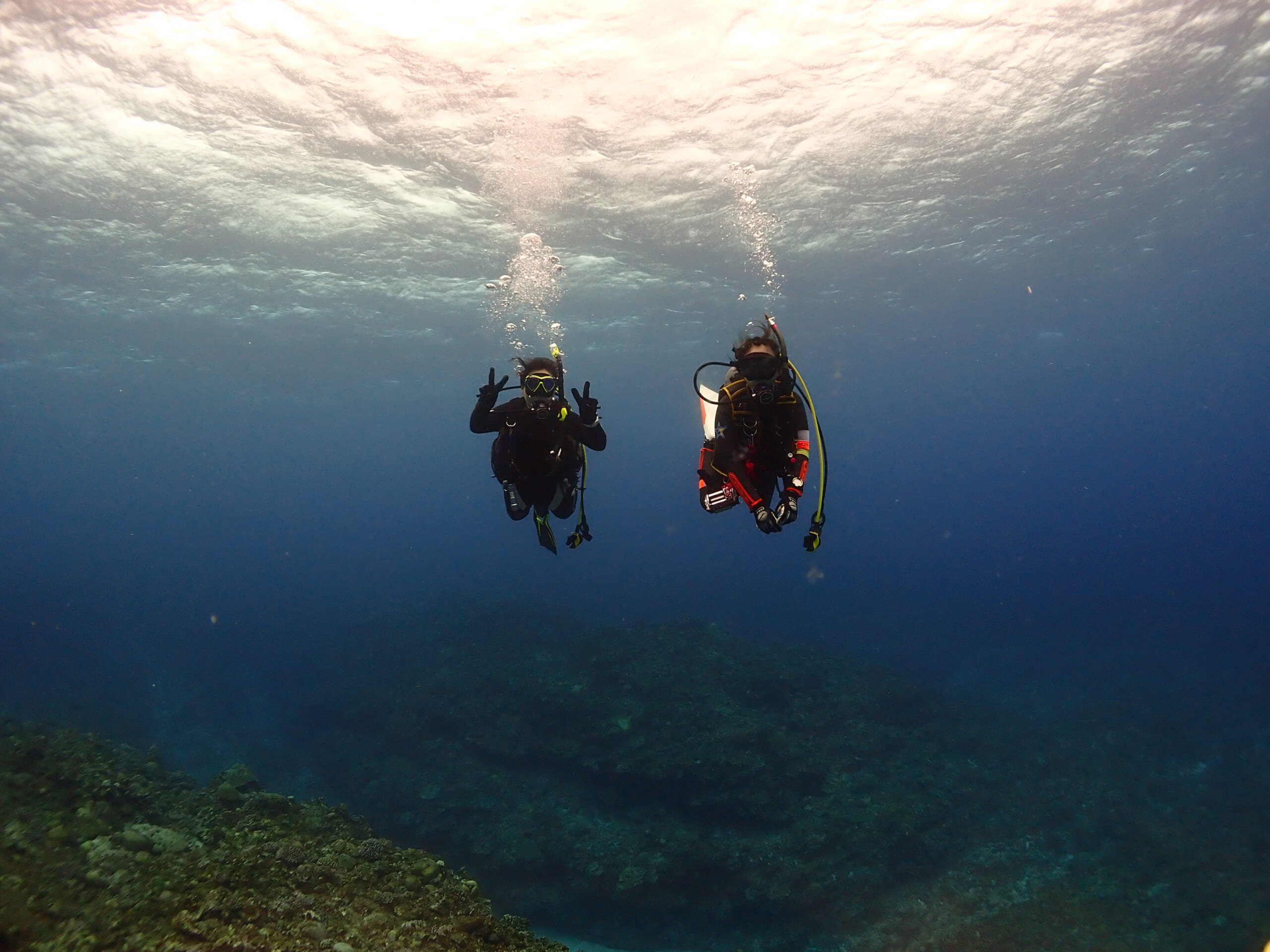 与論島FD🤿 〜ダイビング編〜
