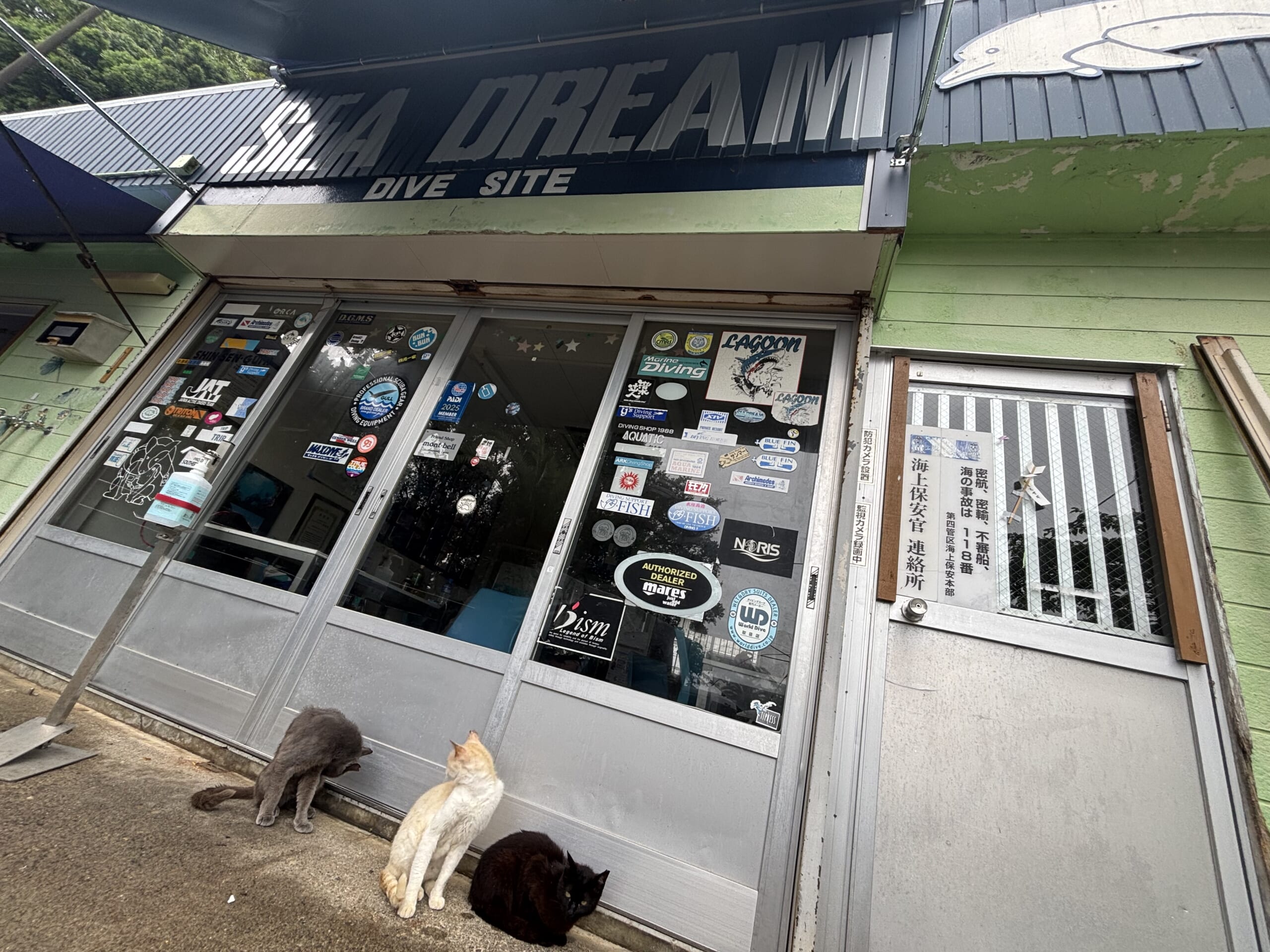 三重県 尾鷲FD🪸