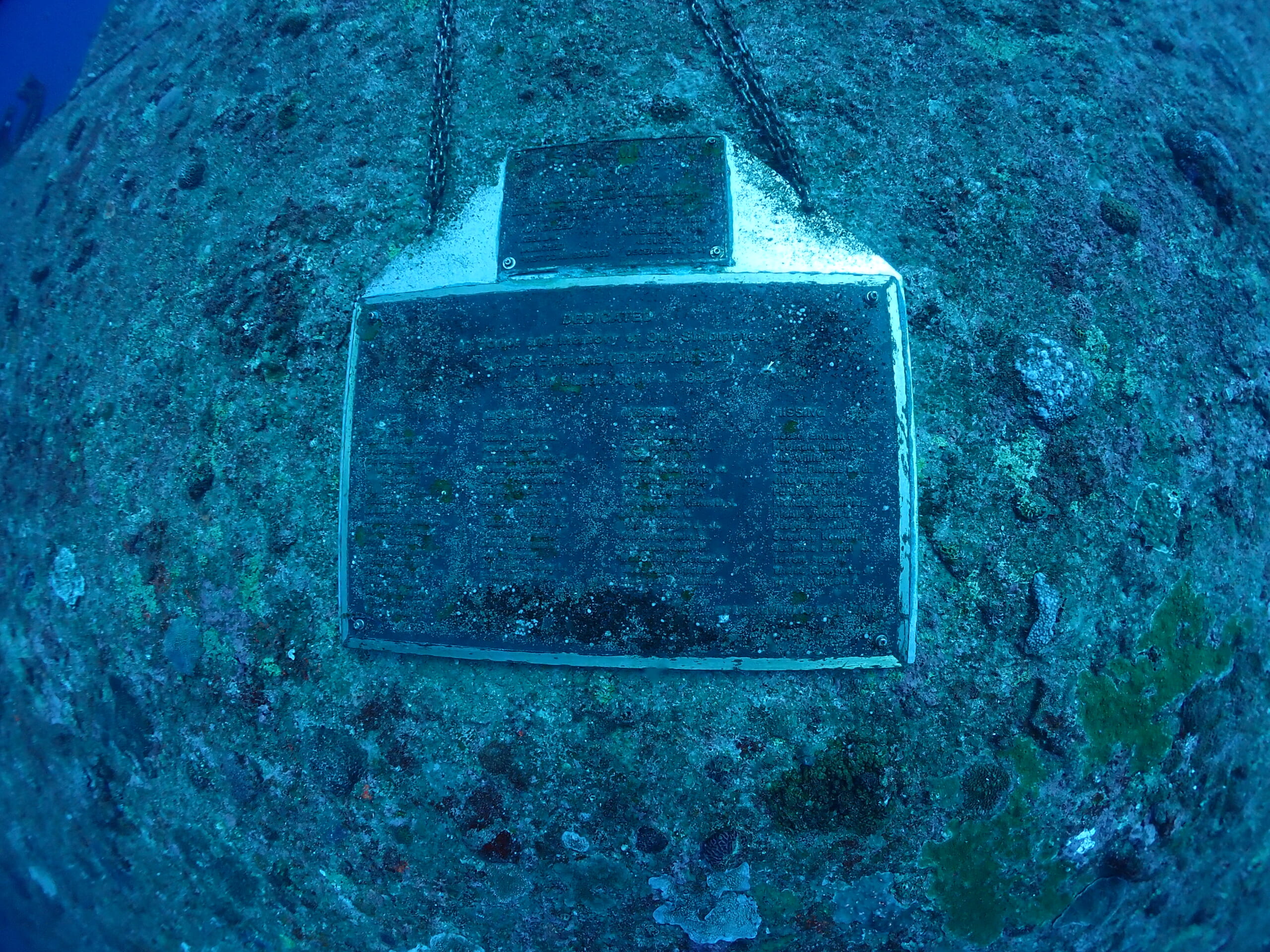 エモンズFD⚓️