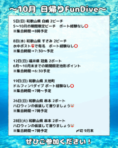 10月 日帰りファンダイブ