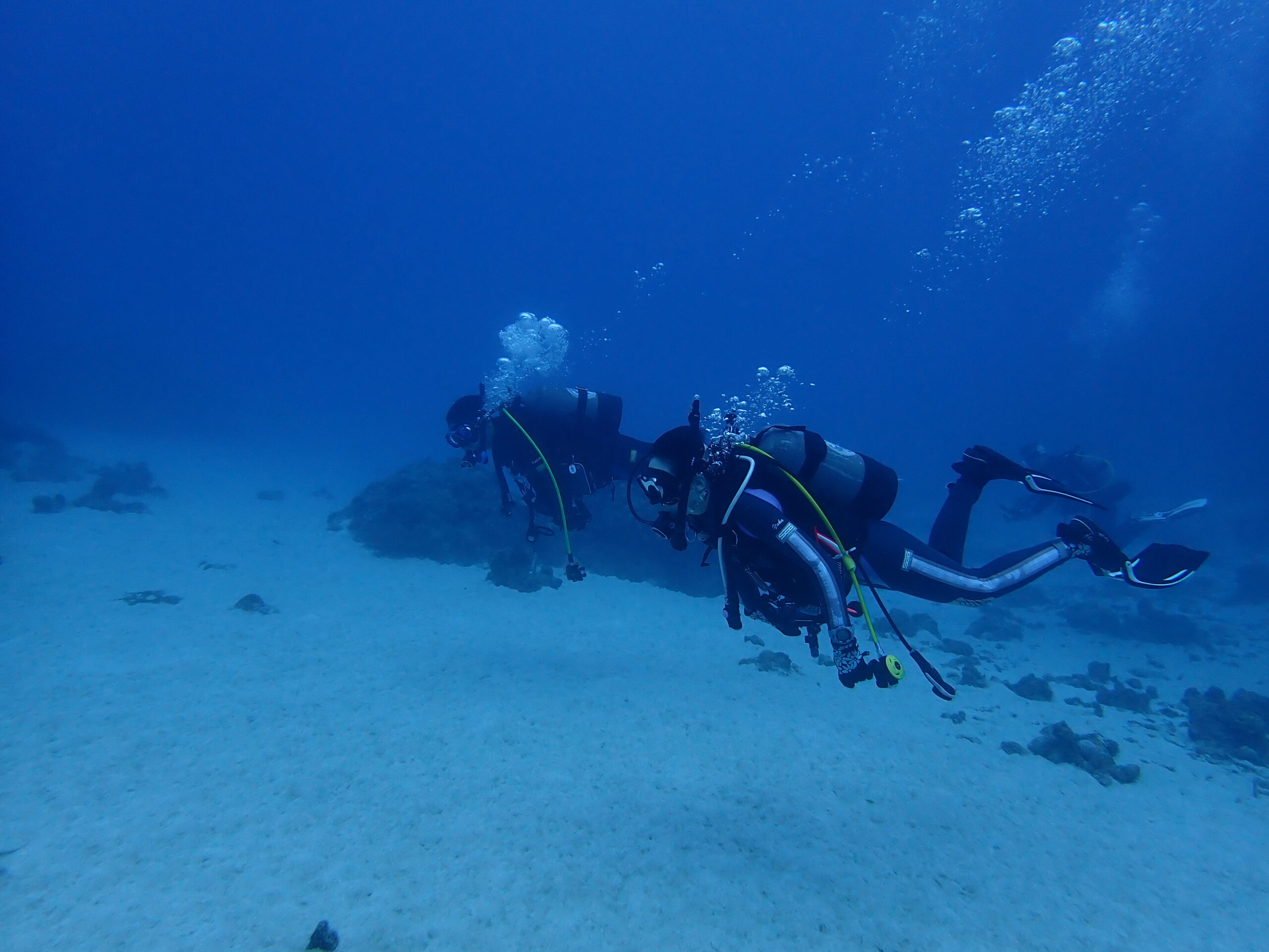 久米島FD ～ダイビング編～