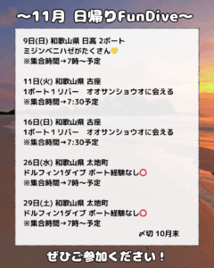 11月 日帰りファンダイブ