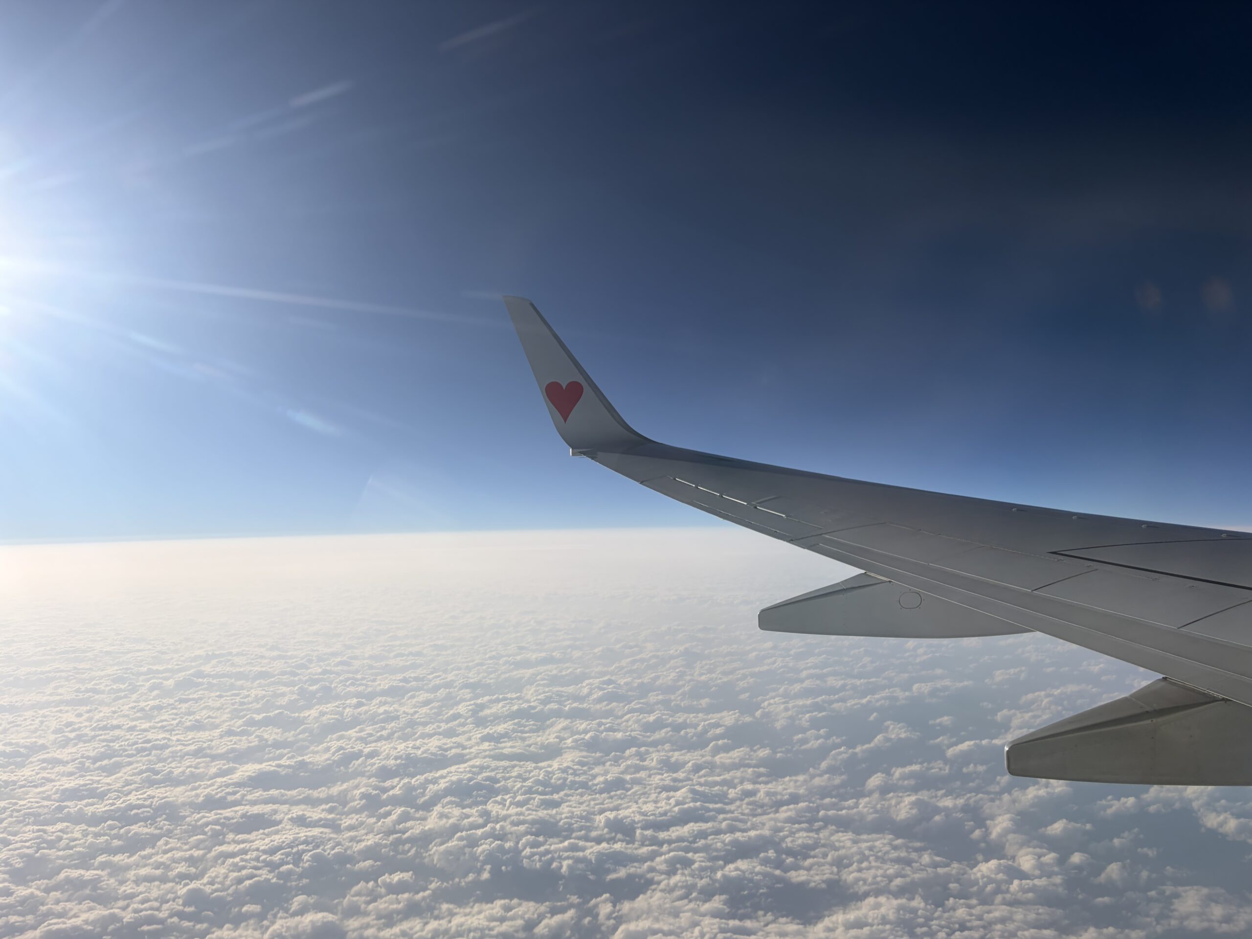 沖縄ホエールFD🐋